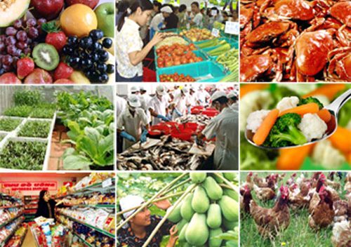 Mẹo rửa sạch hóa chất trong rau củ