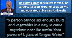 may loc nuoc dien giai kangen