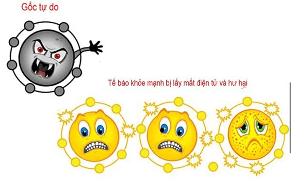 máy lọc nước Kangen